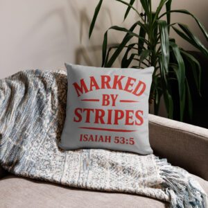 Marked by Stripes Basic Pillow
